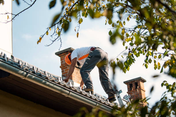Best Emergency Roof Repair  in La Vergne, TN