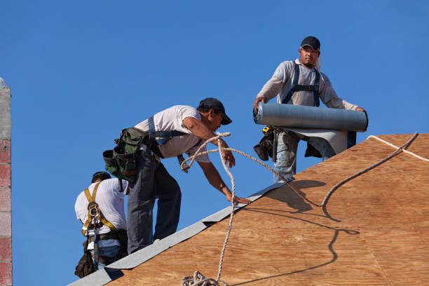 Best Flat Roof Repair Services  in La Vergne, TN